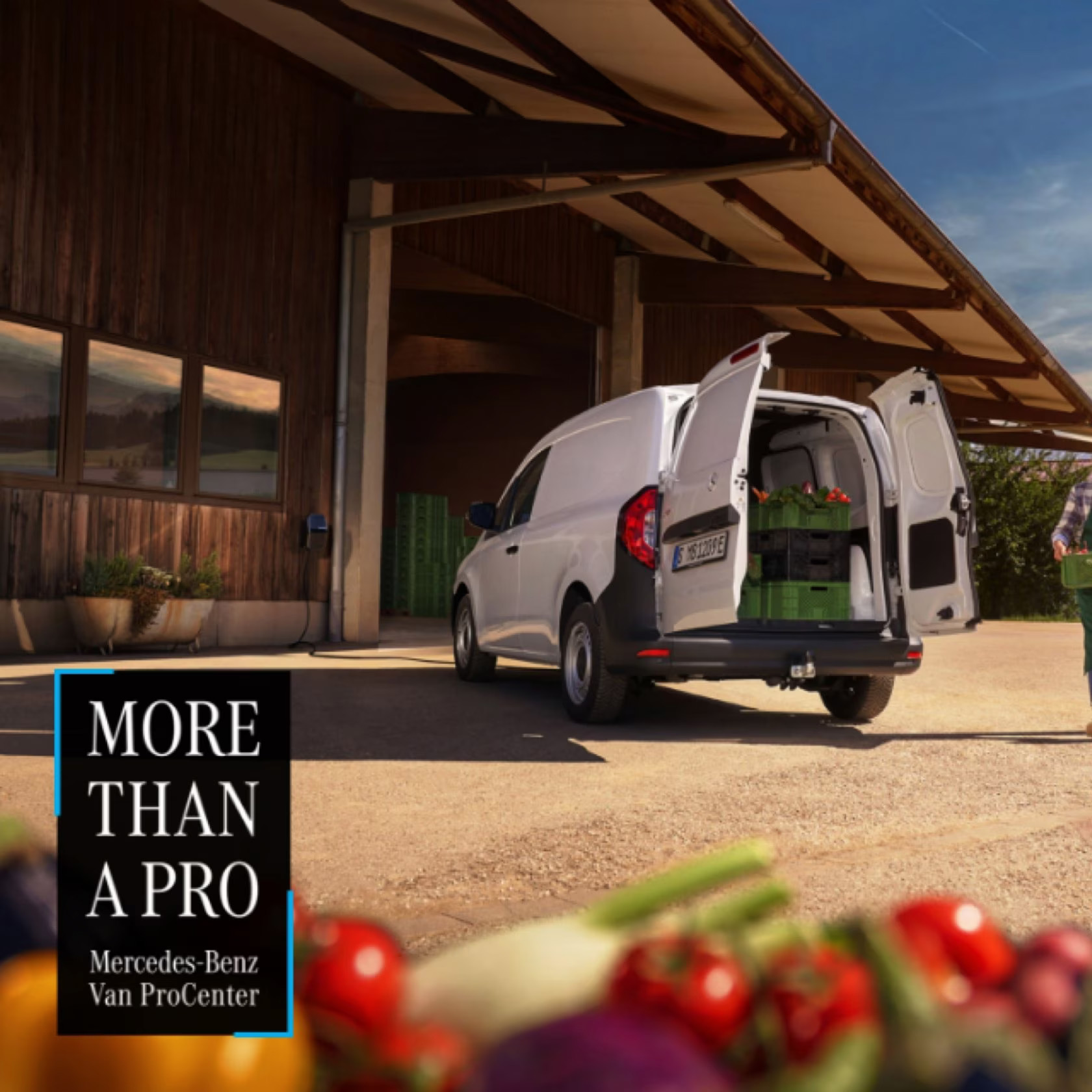 Mercedes Van Procenter 1