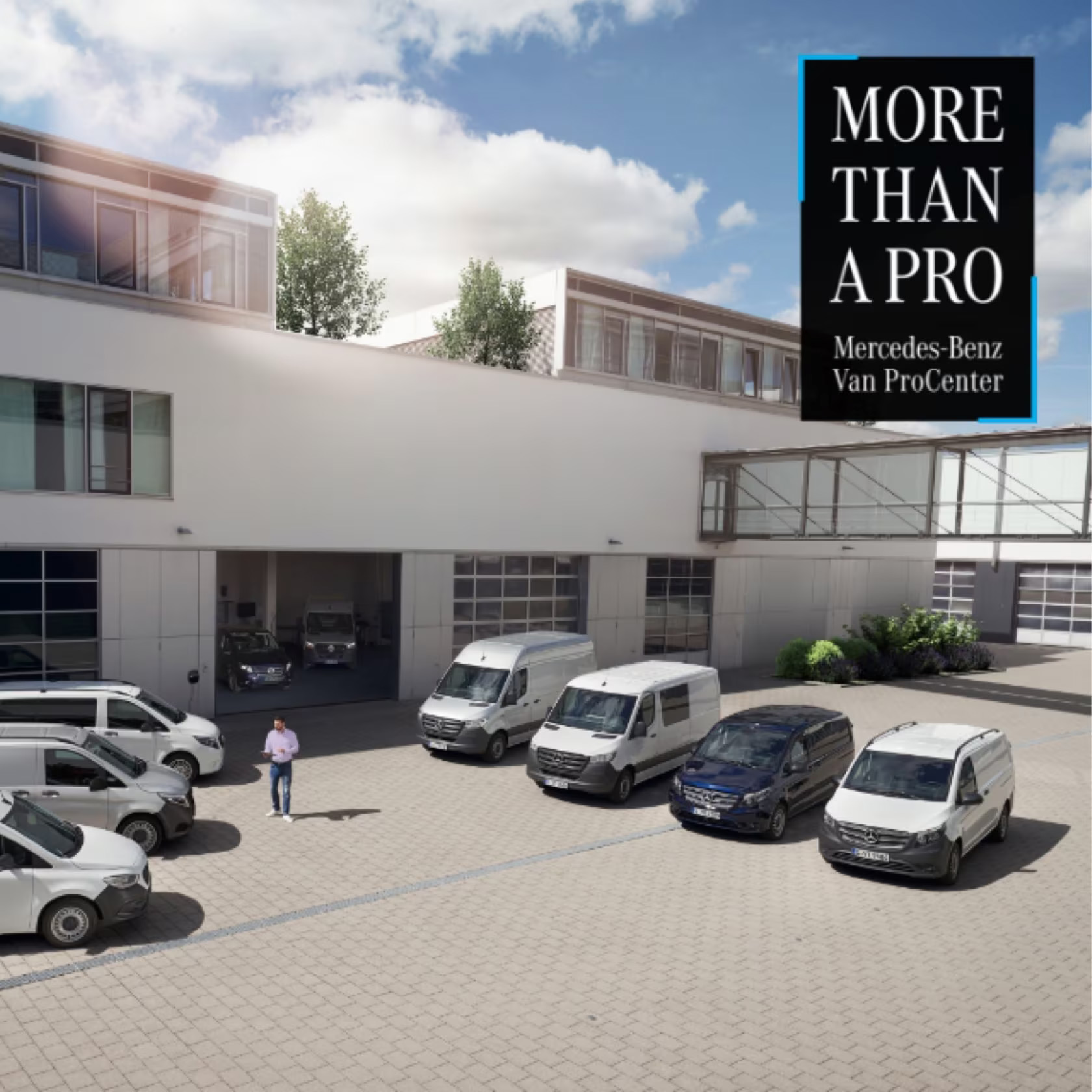 Mercedes Van Procenter 2