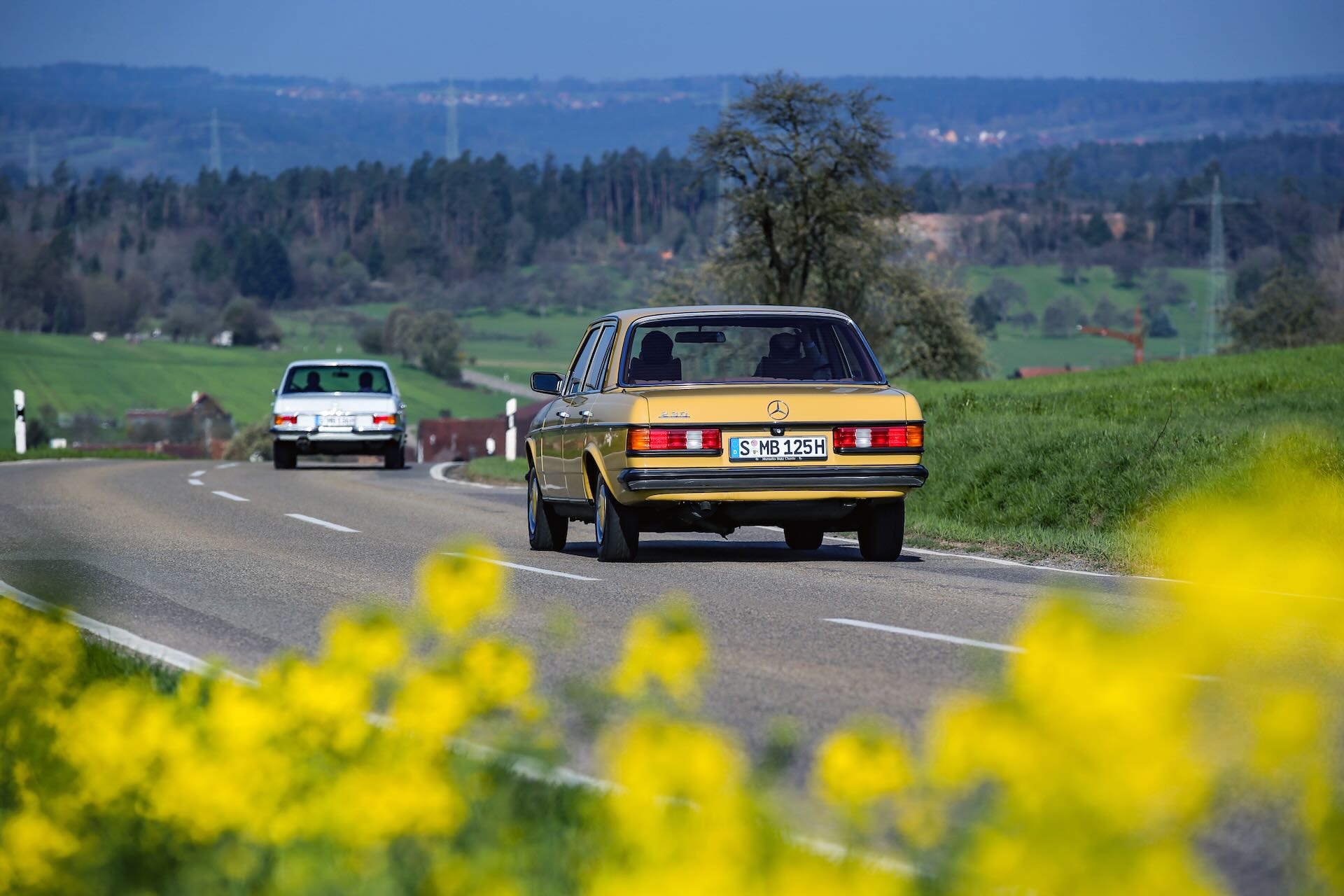 Mercedes Benz W 123 50 Anni Merbag 12