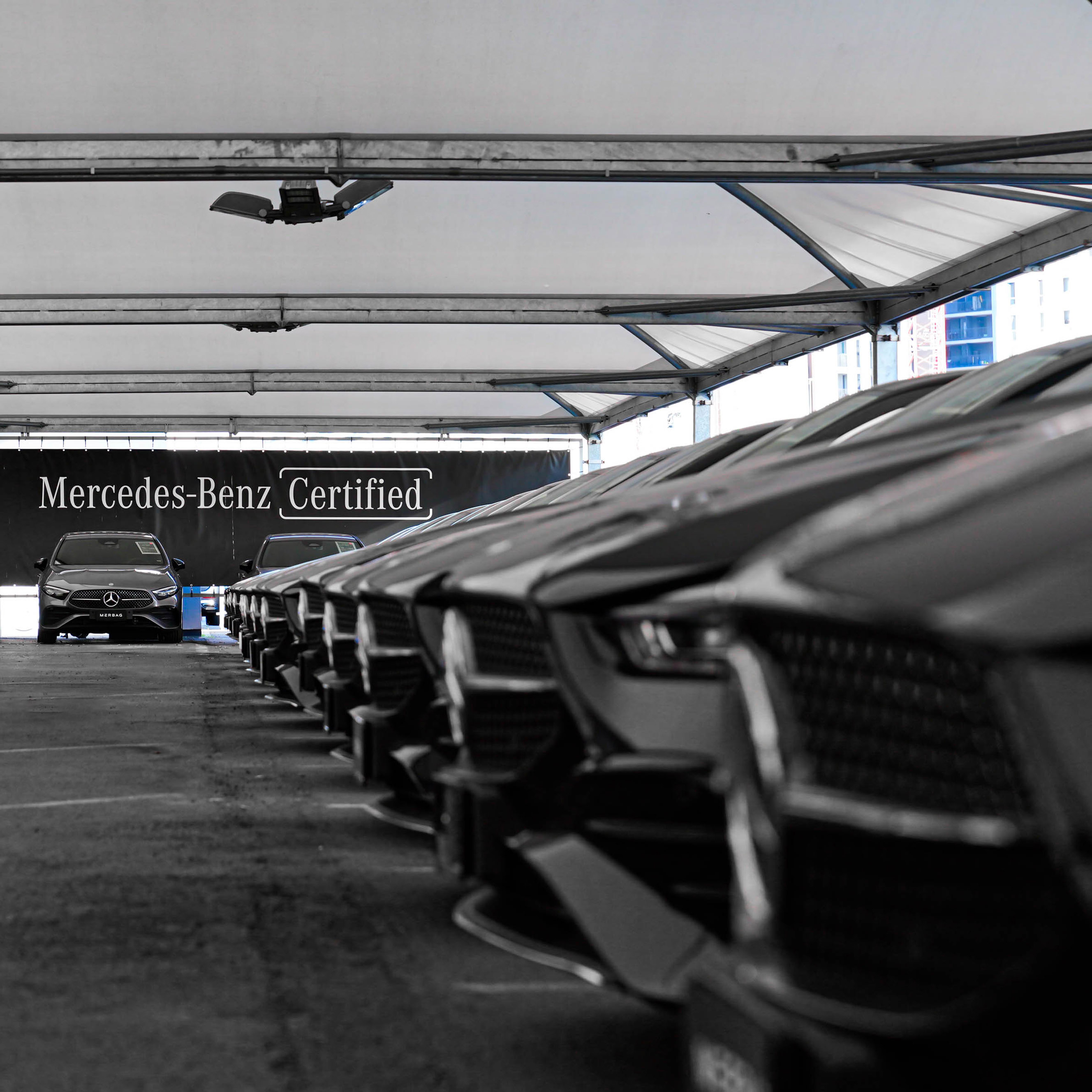 02.01.2025 Bassa Qualità