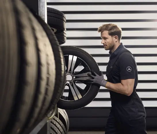 Immagine1 (1) Immagine1 (1)